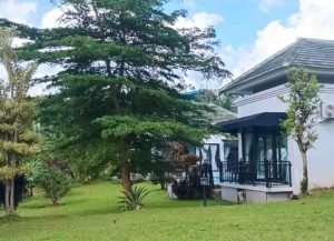 Villa Arti