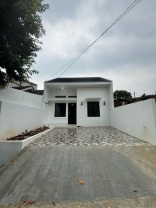 Dzack House